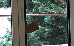 Fensterservice Wien, Fenster Wartung Fensterservice Wien, Fenster Wartung